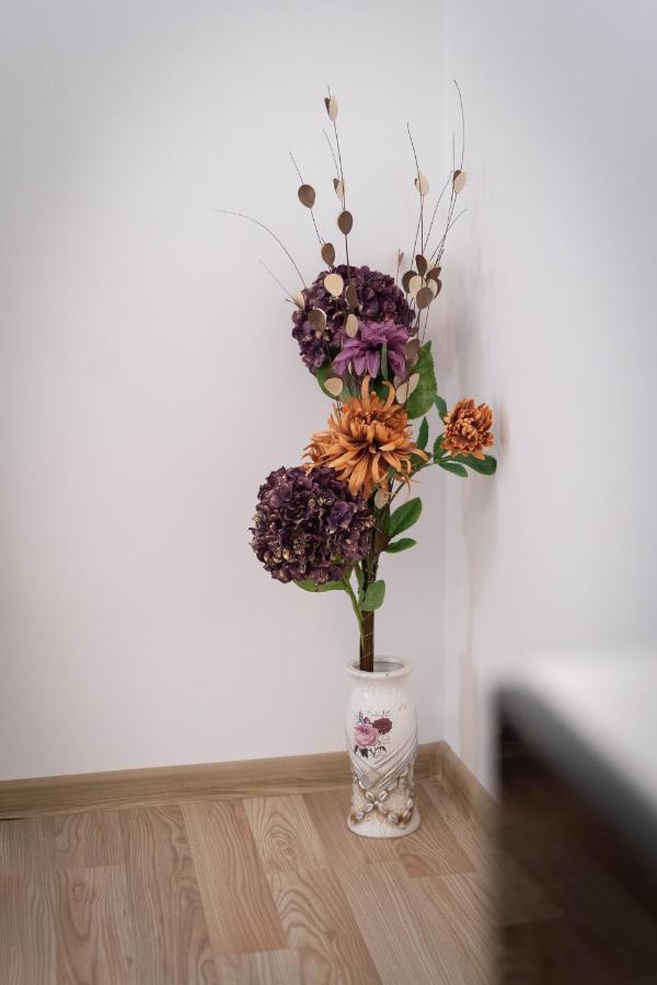 Isaran Coresi Apartment 브라쇼브 외부 사진